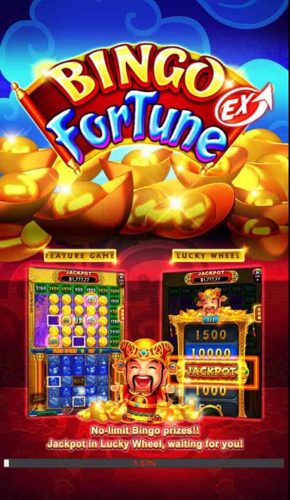 bingo fortune at playgd.mobi