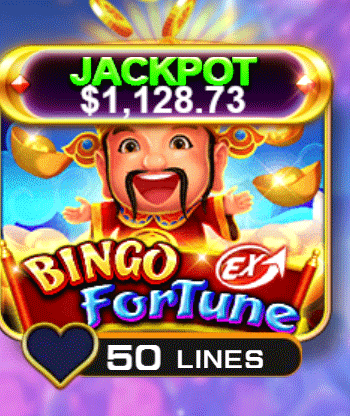 bingo fortune playgd mobi